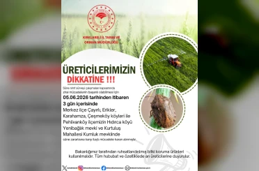 Kırklareli’nde süne zararlısına karşı ilaçlı mücadele kararı 
