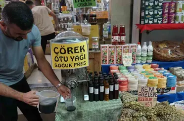 Kış öncesi bağışıklık için ’Çörek otu yağı’
