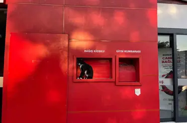 Kızılay’ın sevimli bekçisi
