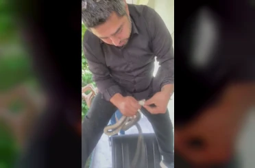 Klima ünitesinin boru hattında yakaladığı yılanı "Sevgili yılan insanlardan uzak dur, yoksa ne yaparlar biliyorsun" diyerek doğaya saldı 