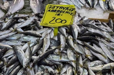 Kocaeli’de balık tezgahlarındaki son durum 