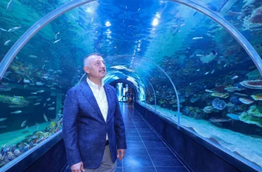 Kocaeli’de dev akvaryum kapılarını açıyor 