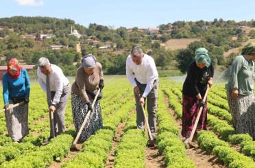 Kocaeli’de tarıma 1 milyar TL’lik destek 