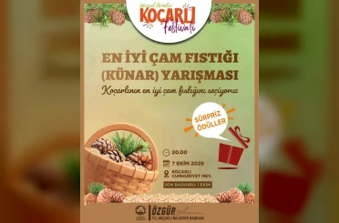 Koçarlı’da çam fıstığının en iyisi seçilecek 