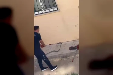 Konut bahçesinde 1,5 metre uzunluğunda yılan görüldü 