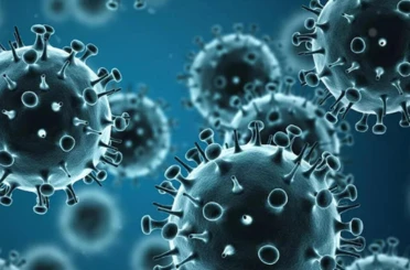 Konya’da Influenza şüphesi