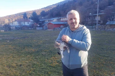 Konya’da aç kalan kediler için 30 kilometre yol gitti 