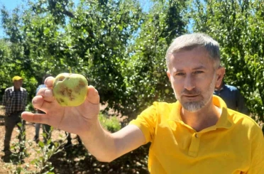 Konya’da dolu etkili oldu, bahçeler büyük zarar gördü 