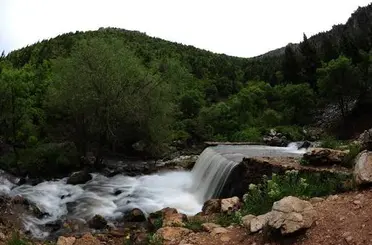 Konya'da Kuvvetli Yağışlar Karadeniz'i Solladı: Bozkır ve Ahırlı Zirvede