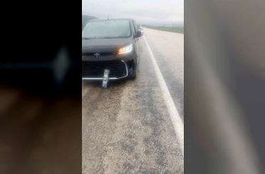 Köpeğe çarpan araç kaza yaptı: maddi hasar oluştu