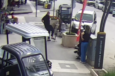 Köpeğine saldıran kediye tekme attı, o anlar kameraya yansıdı 