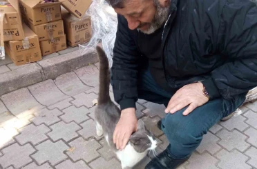 Köpeklerden kaçan kedinin imdadına itfaiye yetişti 