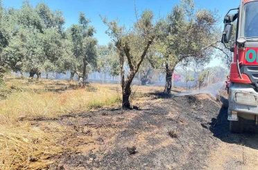 Korkutan arazi yangını 1 saatte kontrol altına alındı 