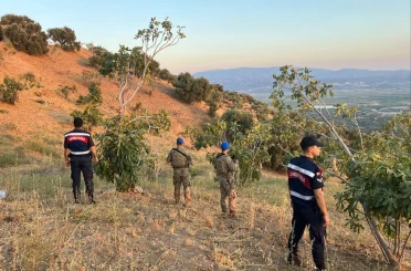 Köşk’te jandarmadan incir nöbeti 