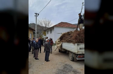 Köşk’te köklü kestane fidanları üreticilere dağıtıldı 