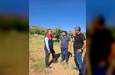 Köşk’te tarımsal zararlılarla mücadele için sahaya indiler 