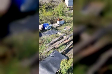 Kovanlarına ayının saldırdığını gören arıcı, "Çilingir sofrası olmuş" 