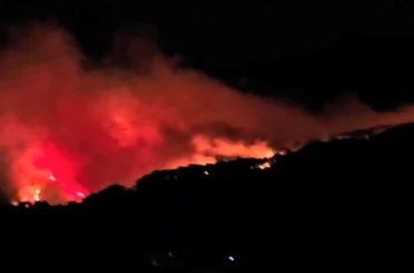 Köyceğiz’de orman yangını müdahale devam ediyor 