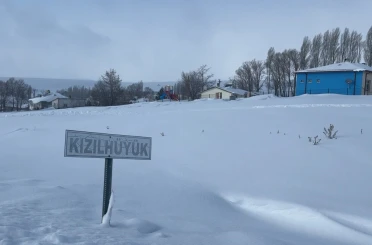 Köyün kâbusu olan kurtlar için araziye yiyecek bırakıldı 