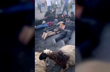 Koyun sürüsüne çarpan insan kaçakçısı, aracı ve göçmenleri bırakıp kaçtı 