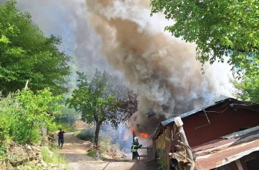 Kozan’da yayla evindeki yangın ormana sıçradı, ekipler müdahale ediyor 