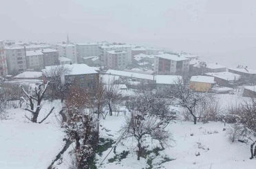 Kulp’ta kar yağışı etkili oldu, ilçe beyaza büründü 