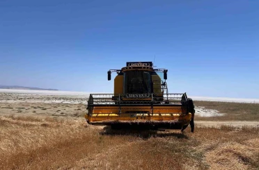 Kulu’da arpa hasadı başladı