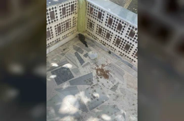 Kulu’da yaralı ebabil kuşuna şefkat eli 