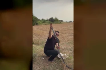 Kümese giren 2 metrelik yılanı yakalarken elinden ısırıldı 