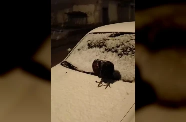 Kümesine giremeyen tavuk otomobil üzerine yumurtladı 