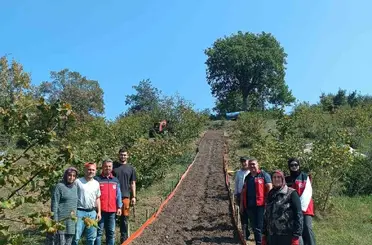 Kumluca’da Salep dikimi gerçekleştirildi
