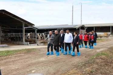 Kurban Bayramı öncesi hayvancılık işletmelerinde inceleme 