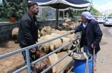 Kurban pazarında sessizlik: Satıcılar son günleri bekliyor 