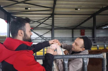 Kurbanlık denetimleri sürüyor 