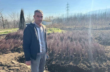 Kurulan her meyve bahçesinde "Bursa" imzası var 