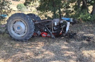 Kuşburnu toplamaya gitti, dönüşte canından oldu 