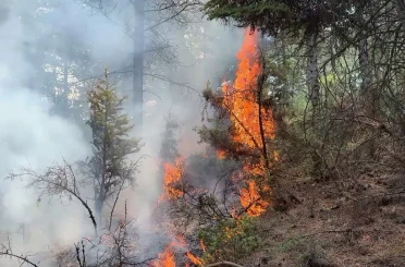 Kütahya’da orman yangını, ekipler alevlere müdahale ediyor 