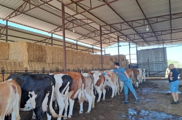 Kuyucak’ın 13 mahallesinde giriş çıkışlar yasaklandı 