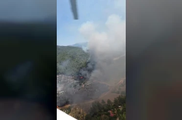 Kuyucak’ta orman yangını 