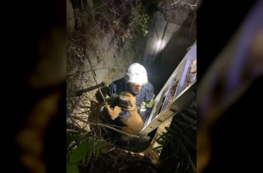 Kuyuya düşen köpeği itfaiye kurtardı 