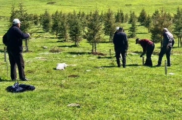 Mahalle halkı imece usulü gölet yaptı 