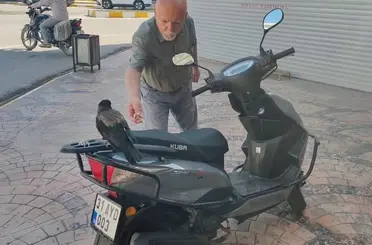 Mahallelinin neşe kaynağı oldu, sırra kadem basmasıyla esnaf ‘kargamızı istiyoruz’ çağrısında bulundu
