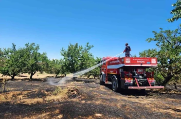 Malatya’da bahçe ve orman yangını 