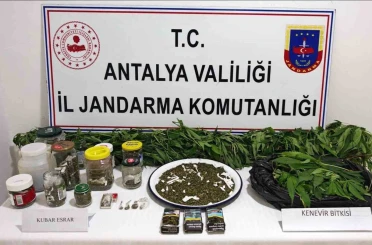 Manavgat’ta 2 kilo kubar esrar ve 130 kök kenevir ele geçirildi 