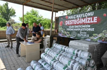Manisa Büyükşehir’den çilek üreticilerine malç naylonu desteği 