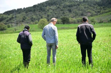 Manisa Büyükşehir’in toprakla buluşan tohumları yeşerdi 