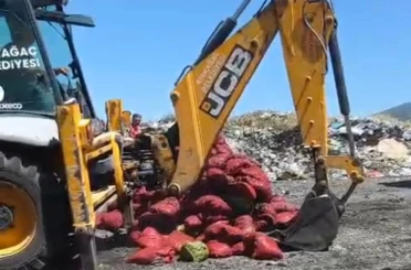 Manisa’da menşei belirsiz midyeler imha edildi 