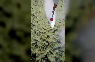 Manisa’daki orman yangını kontrol altına alındı 