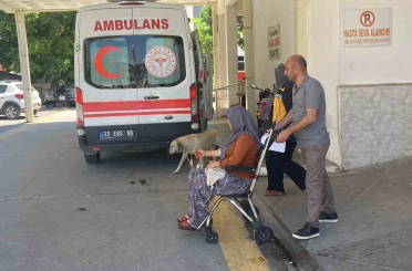 Mantar yiyen 7 kişi zehirlenme şüphesiyle hastaneye kaldırıldı 