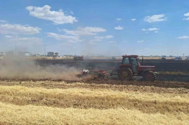 Mardin’de 80 dönüm buğday ekili alan küle döndü 